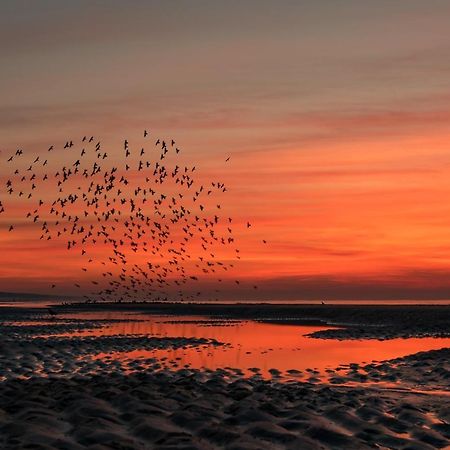 Hoekje Aan Zee Katwijk aan Zee Exterior foto
